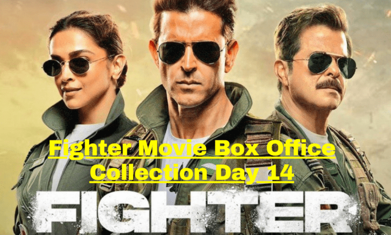 Fighter Movie Box Office Collection Day 14